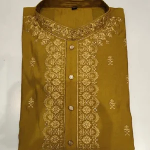 Elegant Shimmer Kurta for Men | KOK- 1011